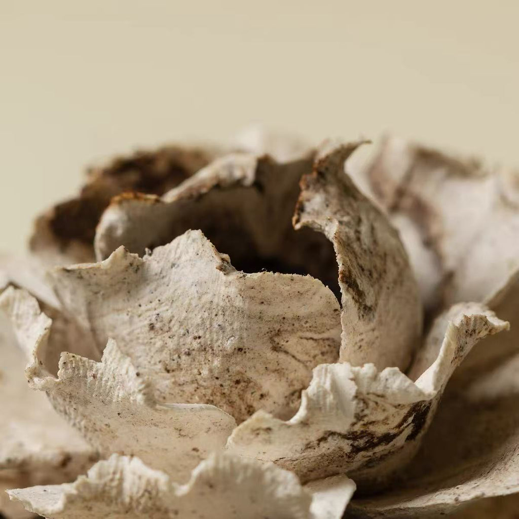 Hand-Sculpted Floral Ceramic Incense Holder